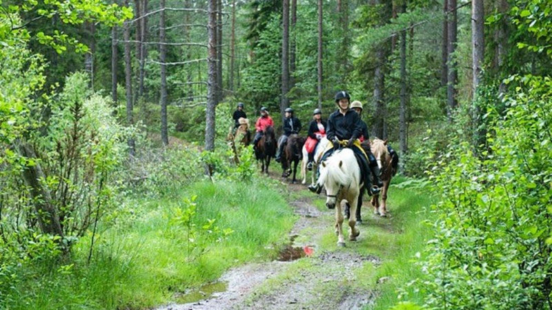 Sverige, Tivedens nationalpark 