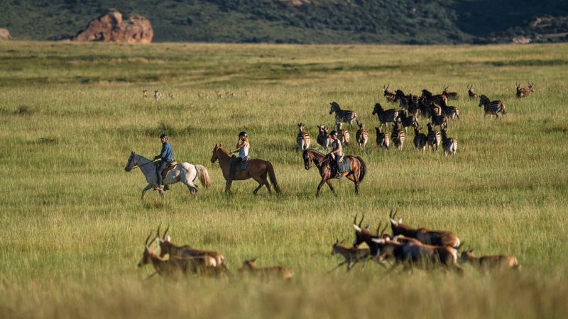 Sydafrika, Free State provinsen  - Privat safarilodge